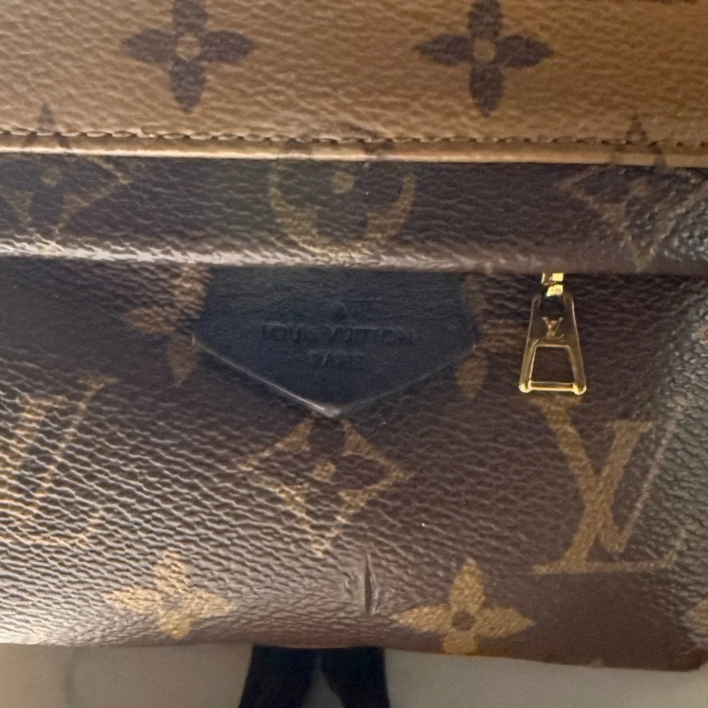 Louis Vuitton LV reverse Monogram Palm Springs Mini - Picture 2 of 16